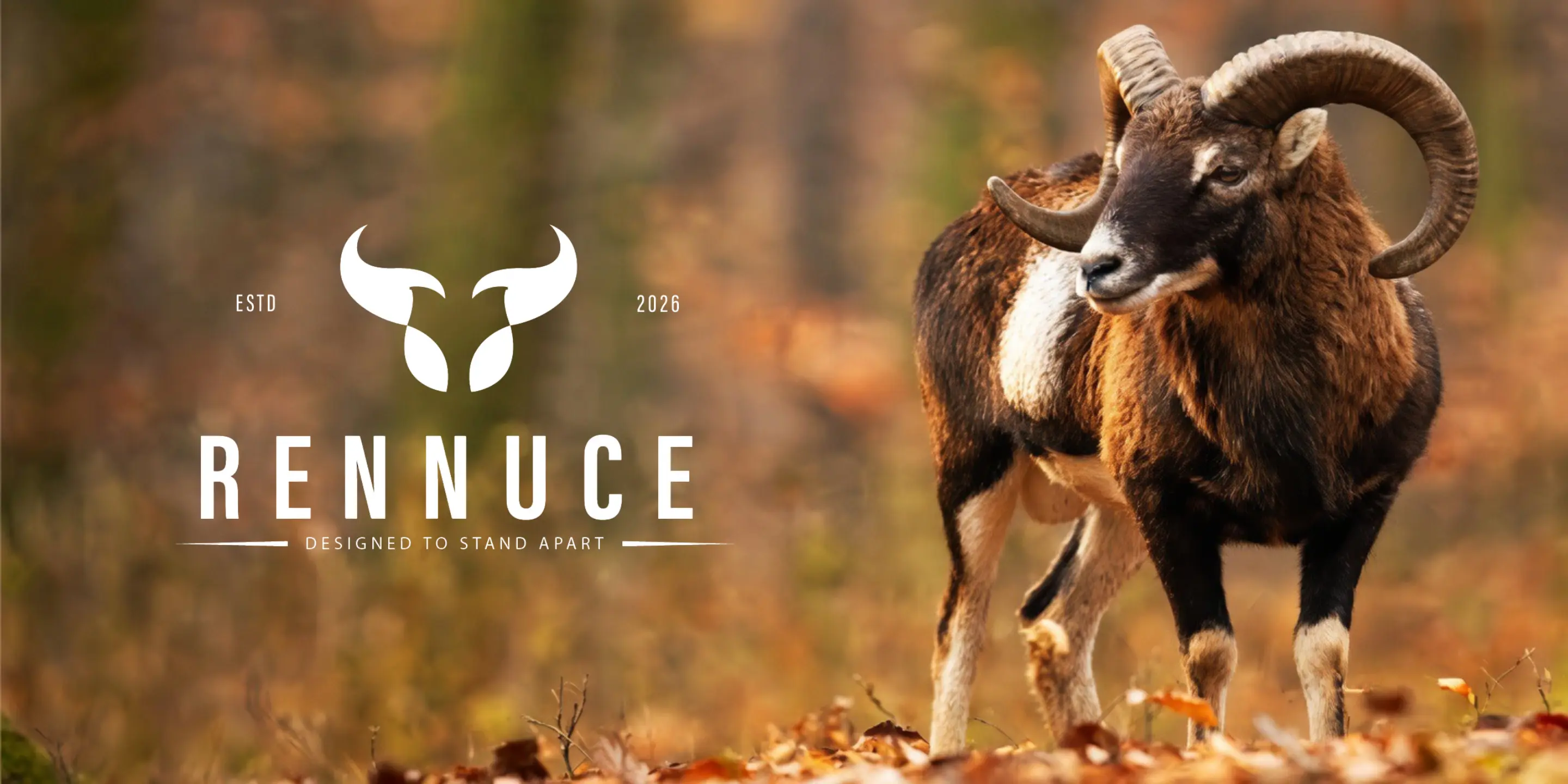 Welcome to Rennuce – Premium Fashion Store